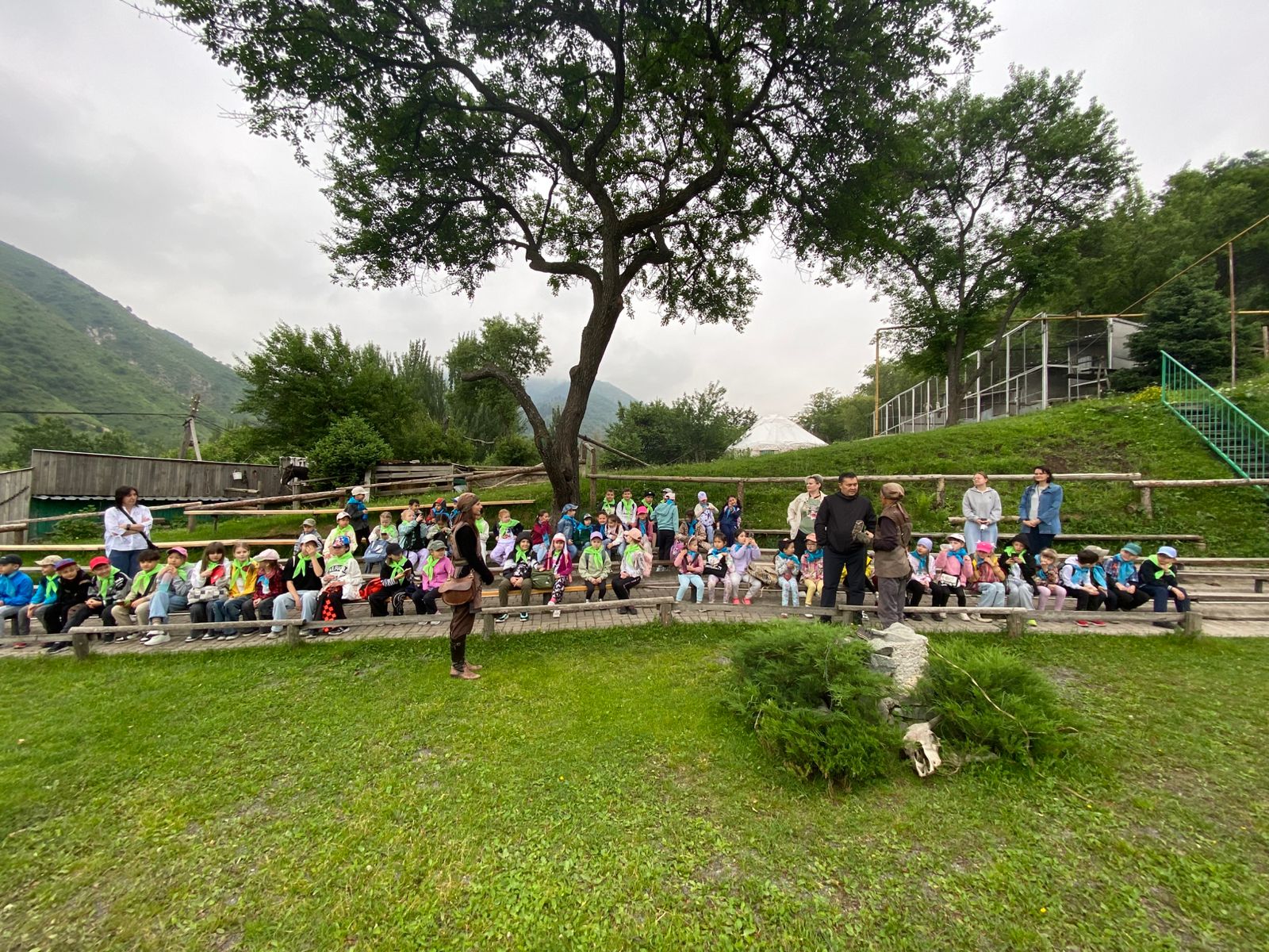🦅 В гости к пернатым хищникам: экскурсия в Соколиный питомник